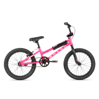 Haro Shredder Girls BMX Bike